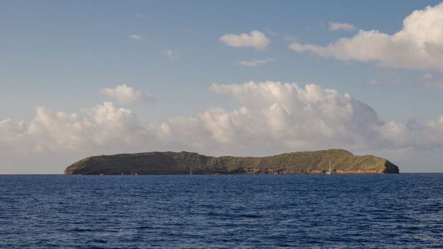 South Maui: Snorkel to Coral Gardens or Molokini Crater - Who should book this snorkel cruise?