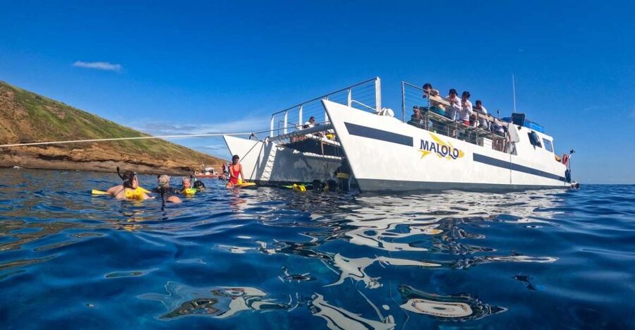 South Maui: Snorkel to Coral Gardens or Molokini Crater - Maalaea Harbor and the relaxed afternoon schedule