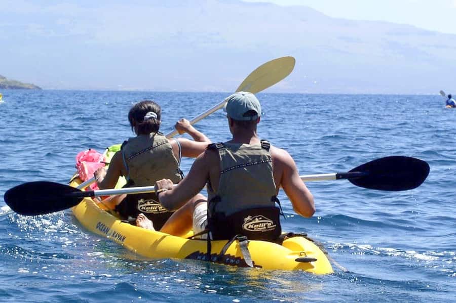 South Maui: Waterfall Tour w/ Kayak, Snorkel, and Hike - Snorkeling in clear water with turtle searches