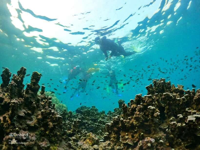South Phu Quoc: Pro Snorkeling Tour by Speedboat - Who should book this outing