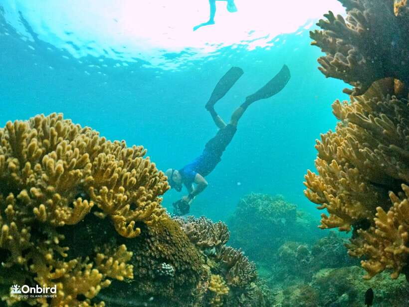 South Phu Quoc: Pro Snorkeling Tour by Speedboat - Why the small boat makes a difference