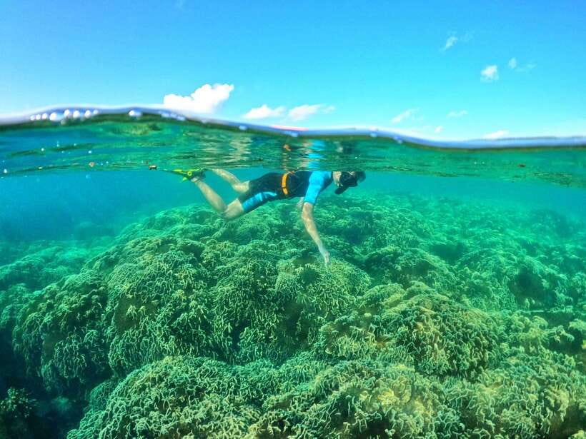 South Phu Quoc: Pro Snorkeling Tour by Speedboat - Coral protection is part of the experience