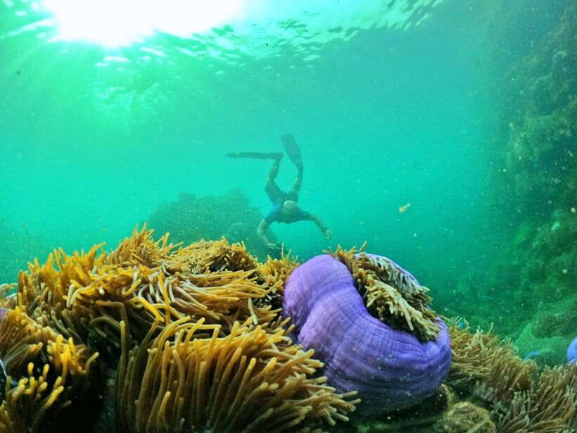 South Phu Quoc: Pro Snorkeling Tour by Speedboat - The island stop, fruit, and juice