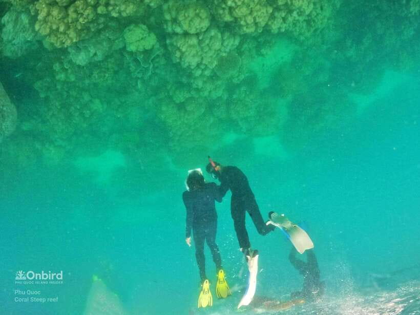 South Phu Quoc: Pro Snorkeling Tour by Speedboat - Pickup areas, extra charges, and timing