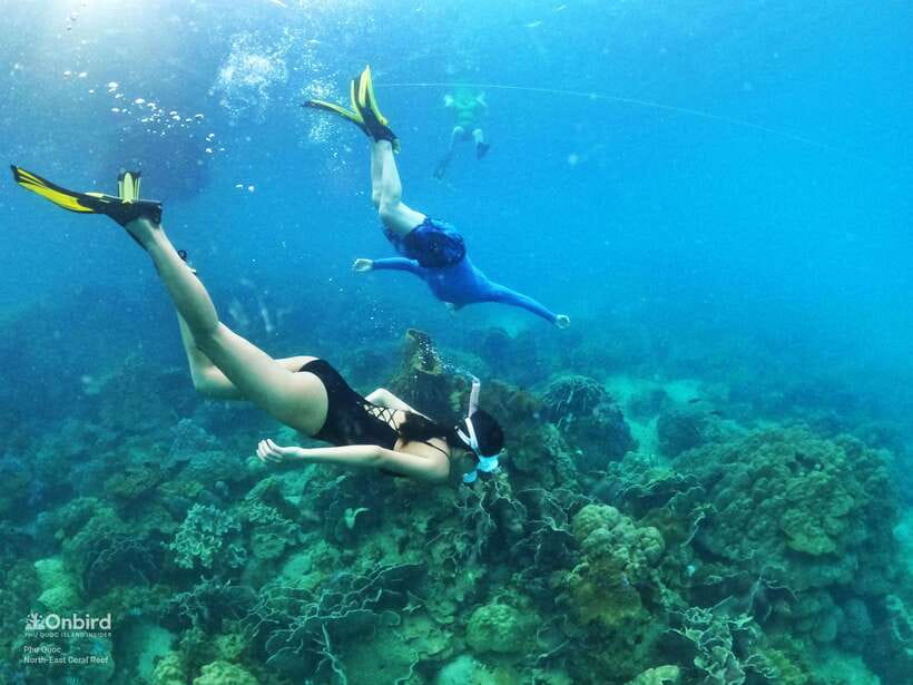 South Phu Quoc: Pro Snorkeling Tour by Speedboat - Starting gently in shallow water