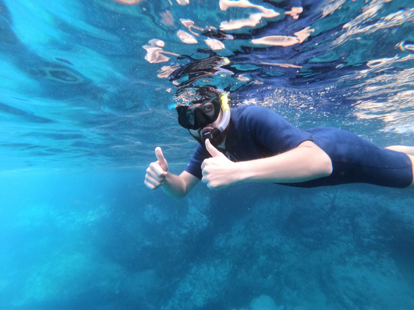 South Tenerife: Guided Snorkeling - Final call: a practical way to meet Tenerife’s sea life
