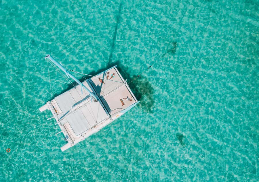 Southwest of Mauritius: Catamaran Cruise w/ Snorkeling - Tamarin Bay and the Search for Spinner Dolphins