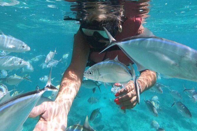 Speed Boat and Snorkeling in Punta Cana Bavaro - Is $70 a fair price?