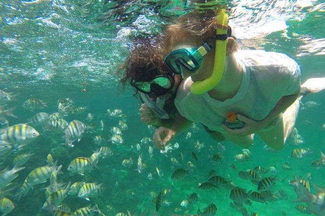 Speed Boat and Snorkeling in Punta Cana Bavaro - Reef snorkeling near Bavaro