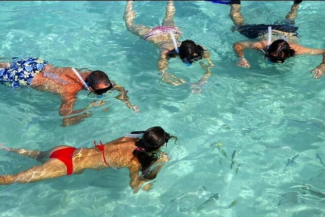 Speed Boat Ride and Snorkel Experience in Punta Cana - Who should book this Punta Cana excursion?
