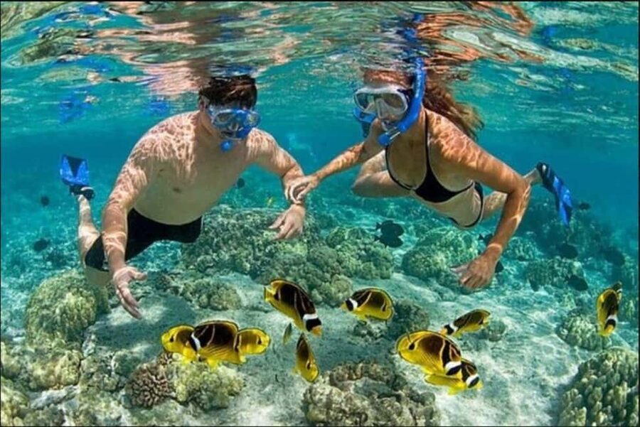 Speedboat Adventure and Snorkeling from Punta Cana - Taking the wheel off Bávaro