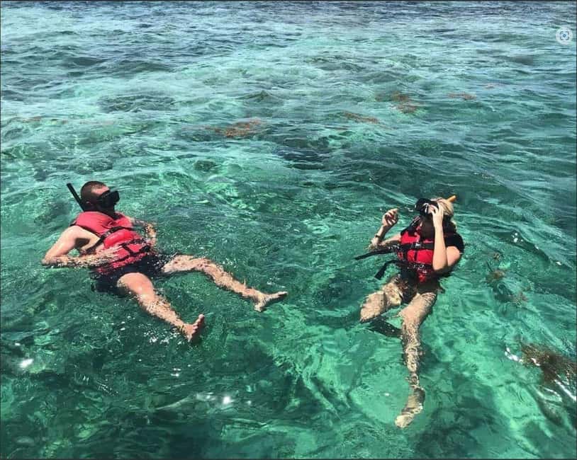 Speedboat Adventure and Snorkeling from Punta Cana - Is $80 a fair price?