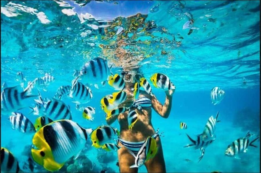 Speedboat Adventure and Snorkeling from Punta Cana - Practical booking advice from Bávaro