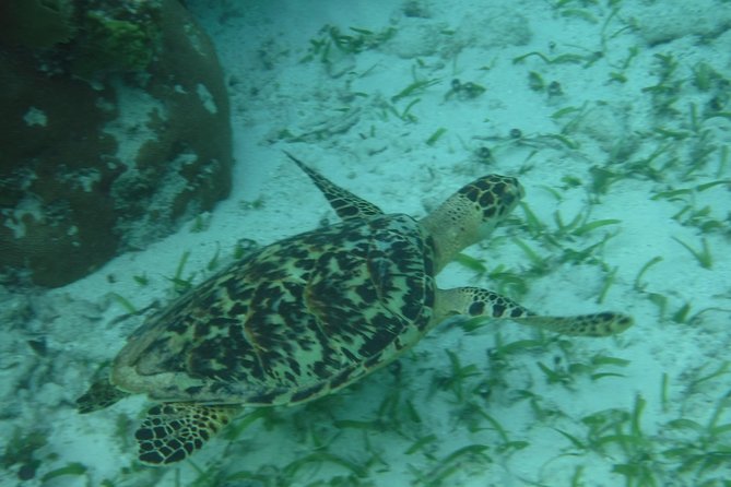 St John & Surrounding Cays - Full-Day Sail/Snorkel, 6 Guests Max - Lunch between the snorkeling stops