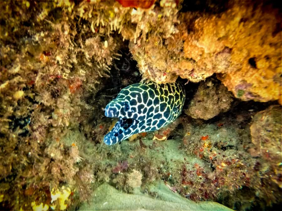 St. Lucia: Cape Vidal Snorkeling Adventure - The beach briefing and equipment check