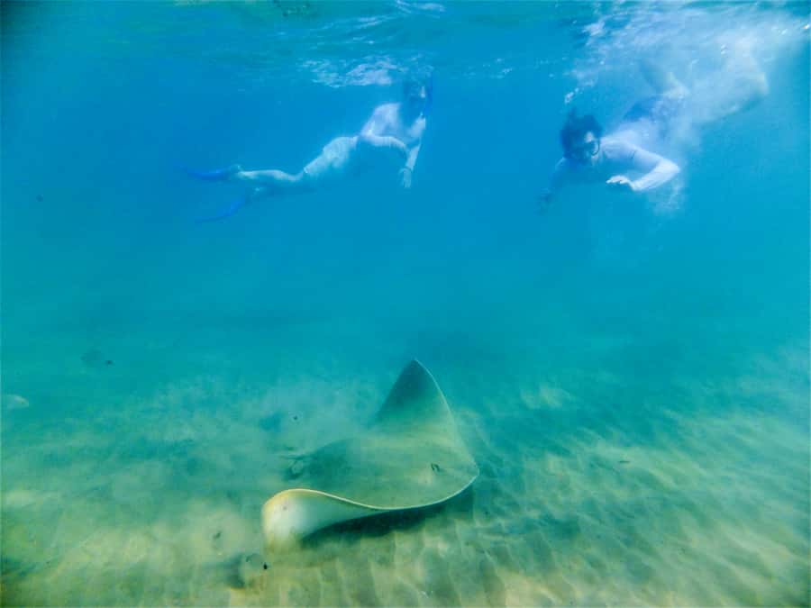 St. Lucia: Cape Vidal Snorkeling Adventure - The shipwreck story adds a second layer