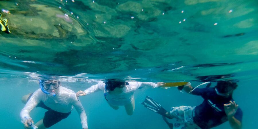 St. Lucia: Cape Vidal Snorkeling Adventure - Tea, coffee, hot chocolate, and a fish ID book