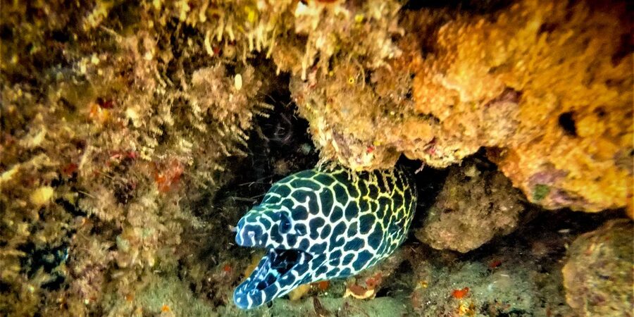 St. Lucia: Cape Vidal Snorkeling Adventure - Finding the marine office from St. Lucia
