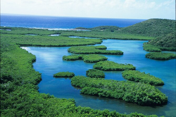 St Thomas Mangrove Lagoon Kayak and Snorkel Tour in the US Virgin Islands - The guides are part of the value