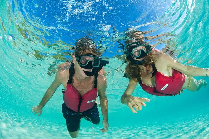 St Thomas Mangrove Lagoon Kayak and Snorkel Tour in the US Virgin Islands - Is $89 a fair price?