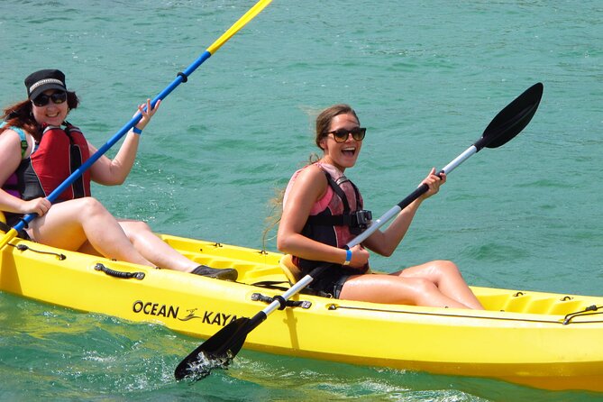 St Thomas Mangrove Lagoon Kayak and Snorkel Tour in the US Virgin Islands - Who will enjoy this St. Thomas outing?