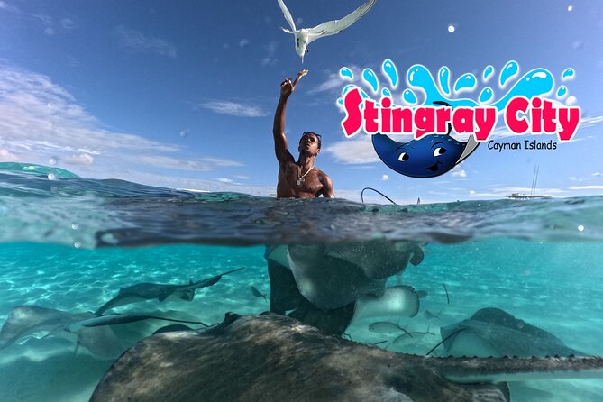 Stingray City and Starfish Experience with Coral Reef Snorkeling - Three Grand Cayman sea stops in one morning