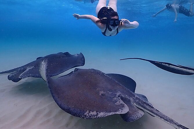 Stingray City and Starfish Experience with Coral Reef Snorkeling - Starfish Point: the calmest stop for young children