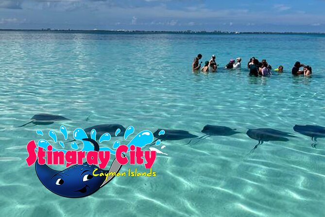 Stingray City and Starfish Experience with Coral Reef Snorkeling - Cruise timing and practical planning
