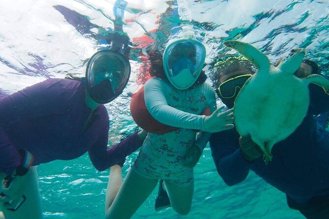 Stingray City Experience Plus One Snorkeling Stop - What the boat and crew add to the experience