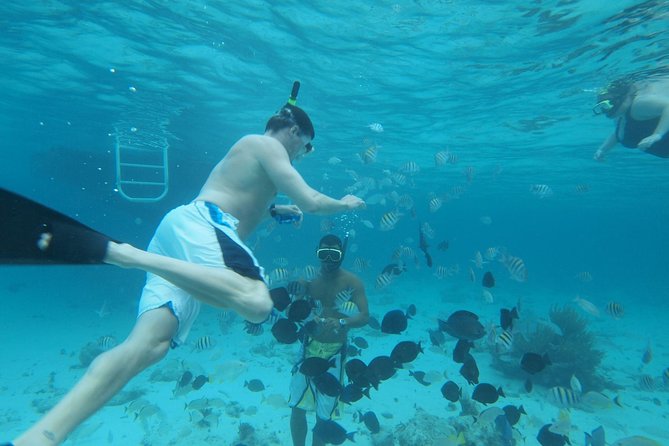 Stingray City Experience Plus Two Snorkeling Stops on Grand Cayman - Coral Gardens and Barrier Reef: two different chances to snorkel