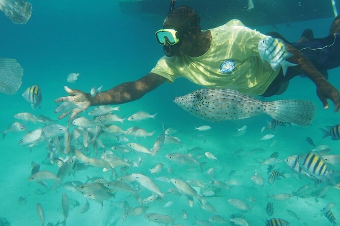 Stingray City Experience Plus Two Snorkeling Stops on Grand Cayman - Booking details and cancellation terms