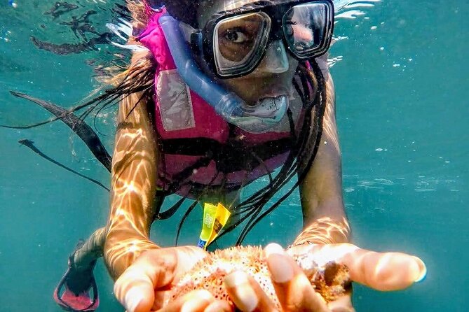 Sun, Sea & Streets: Beach Day + Snorkel Adventure & City Tour - A beach day with one important question mark