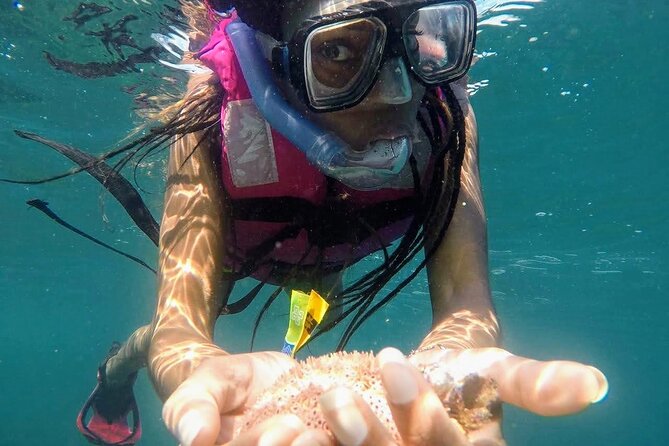 Sun, Sea & Streets: Beach Day + Snorkel Adventure & City Tour - Is $129.99 a fair price?