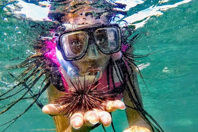 Sun, Sea & Streets: Beach Day + Snorkel Adventure & City Tour - Who will get the most from this outing?