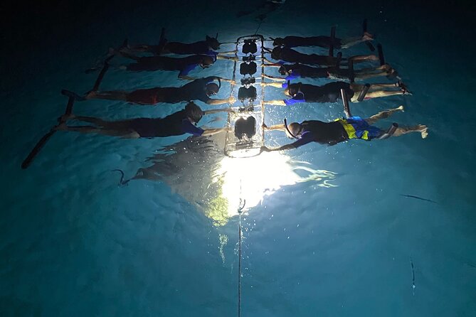 Sunset and Manta Ray Snorkel Adventure - Holding the light board while mantas feed