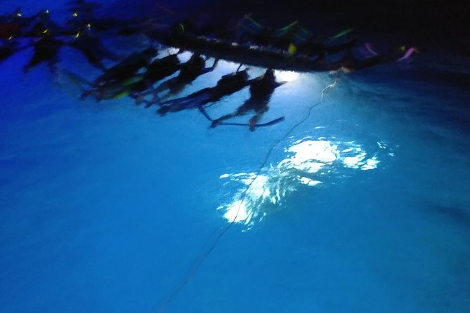Sunset and Manta Ray Snorkel Adventure - Preparing for the night snorkel