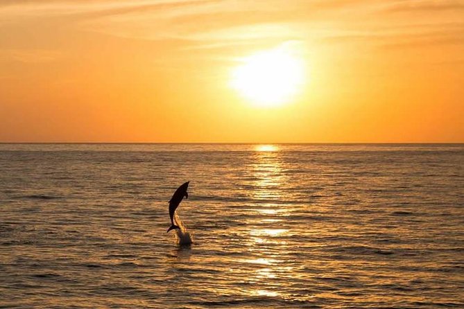 Sunset Beach Hopping Cruise, Cala Comte and Cala Bassa, SUP and snorkelling - Optional coves depend on wind and weather