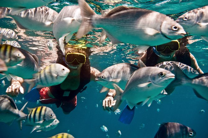 Sunset Catamaran and Snorkeling Cruise At Carlisle Bay - Carlisle Bay at the best time of day
