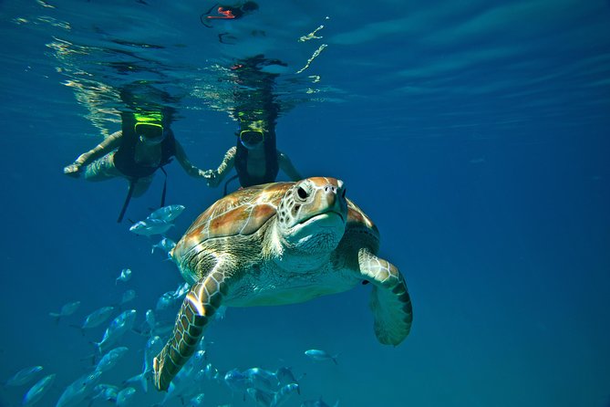 Sunset Catamaran and Snorkeling Cruise At Carlisle Bay - A secluded cay, warm water, and time to slow down