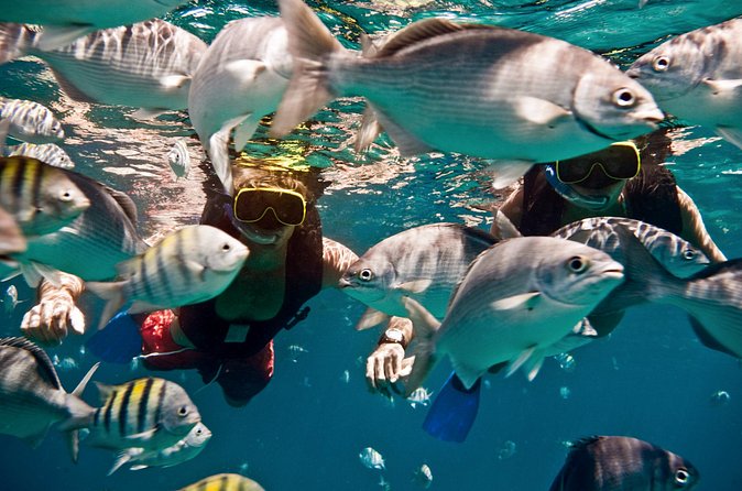 Sunset Catamaran and Snorkeling Cruise At Carlisle Bay - Buffet dinner with drinks as the sky changes