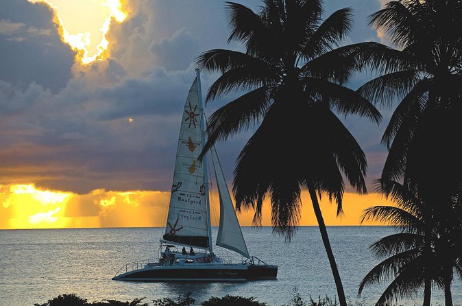 Sunset Catamaran and Snorkeling Cruise At Carlisle Bay - What to pack for the four-hour outing