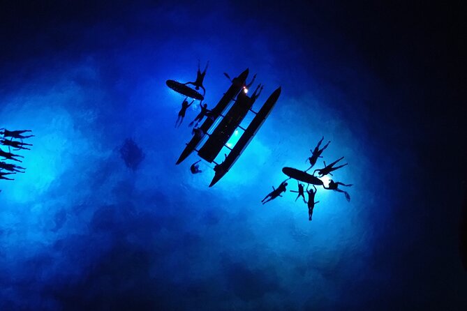 Sunset Cruise & Manta Night Snorkeling Charter - Why the private boat matters at the manta site