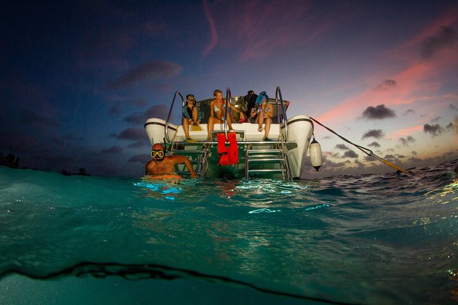 Sunset- night snorkel trip - Key points to know before booking
