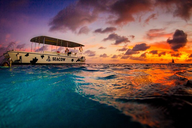 Sunset- night snorkel trip - What the 5:30 pm departure feels like
