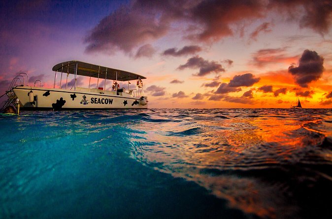 Sunset- night snorkel trip - The after-dark swim near Bonaire