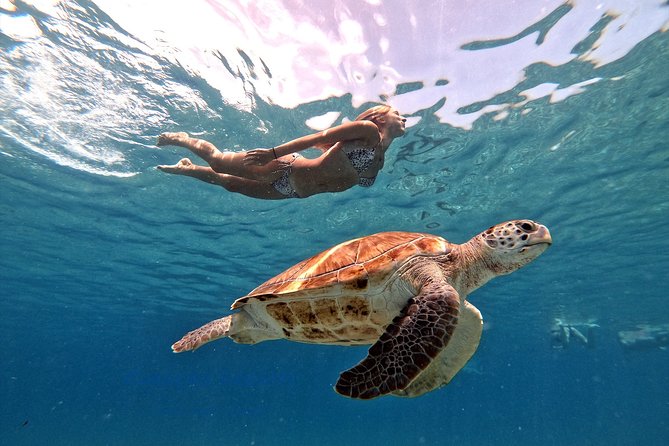 Swim and Snorkel with Sea Turtles - Stop one: a beach for swimming and scenery
