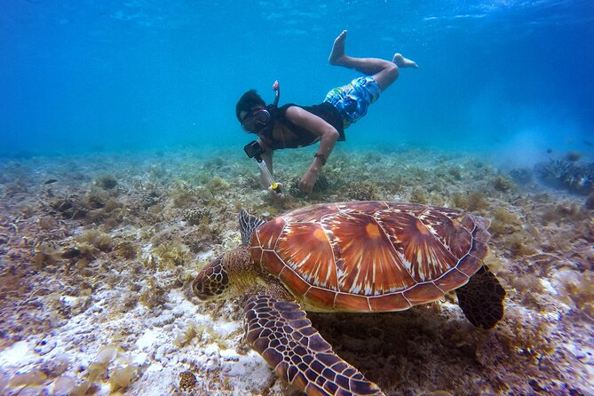 Swim & Reef Snorkeling Bonaire - Quick points to know before booking