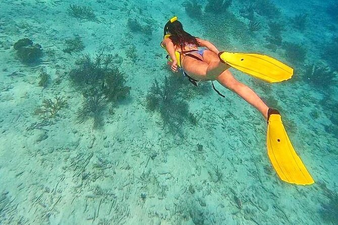 Swim & Reef Snorkeling Bonaire - The boat ride between reef sites