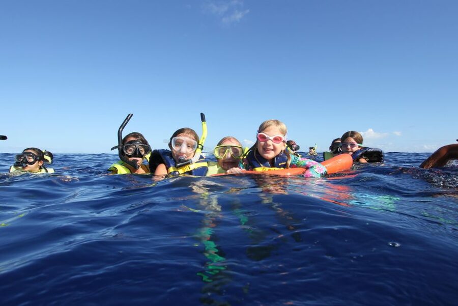 Swim with Wild Dolphins Oahu Speedboat Snorkeling Adventure! - Key points to know before booking