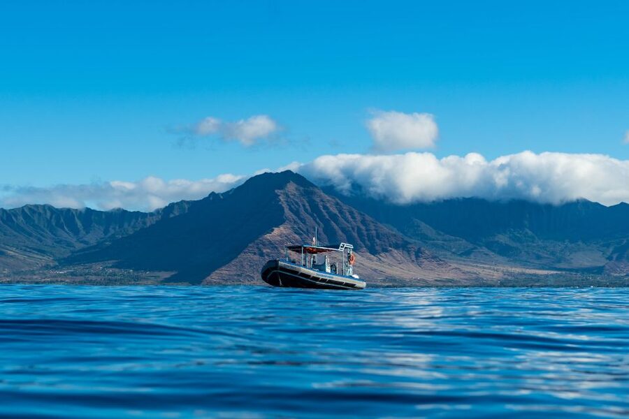 Swim with Wild Dolphins Oahu Speedboat Snorkeling Adventure! - Whale season from November through March